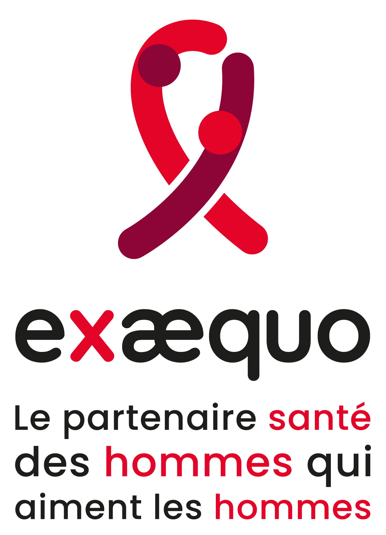 Logo de Ex Æquo